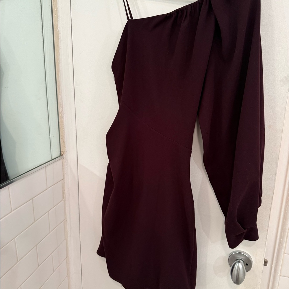 IRO Rich Burgundy Dress